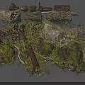 Natural Scenery Featuring Moss Covered Rocks Wood Logs And Green Ferns