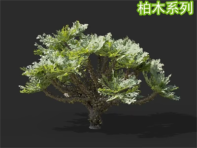 Cypress Shrub Series with Lush Green Foliage for Garden Landscaping 3d model