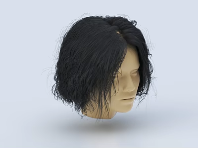 Game Movie Character Black Curly Hair Wig On Mannequin Head 3d model