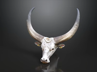 Dark Wall Featuring White Bull Head Mount As Modern Decorative Piece 3d model