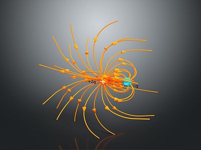 eukaryotic cell cross section cell structure cell tissue anatomy organ human organ 3d model