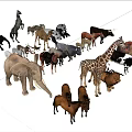 Various Reptile Species Including Lizards Snakes And Turtles In Wild Environments