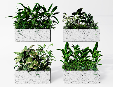 Modern potted plant potted plant bonsai canna 3d model