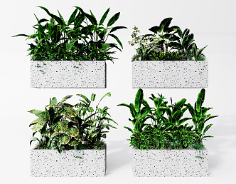 Modern potted plant potted plant bonsai canna 3d model