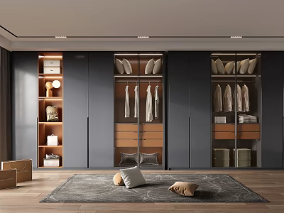 Modern Wardrobe Interior Design With Hanging Clothes Drawers And Storage Spaces 3d model