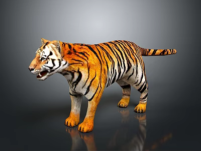 3D Tiger In Standing Pose With Orange Black Stripes White Underbelly On Dark Reflective Ground 3d model