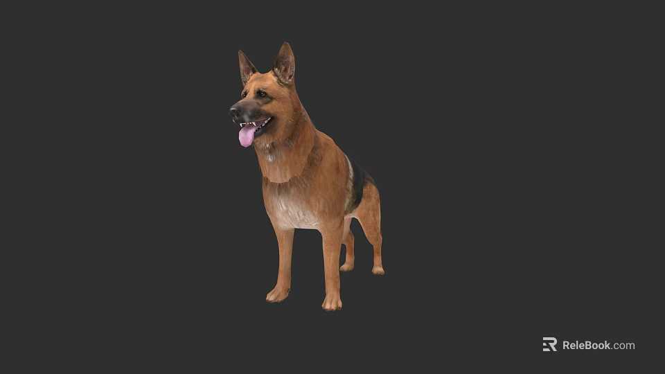German Shepherd Dog Standing With Tongue Out On Black Background 3d model 
