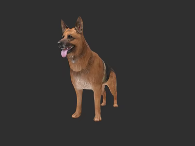 German Shepherd Dog Standing With Tongue Out On Black Background 3d model