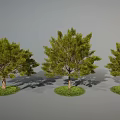 Three Green Trees with Lush Leaves and Brown Trunks on Grass Patches Against Gray Background