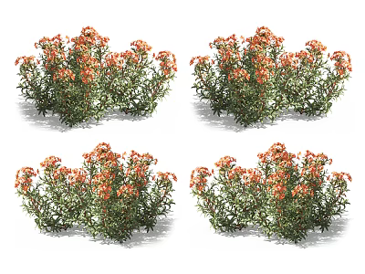 Orange Flowering Bushy Plants With Green Leaves And Vibrant Lush Foliage 3d model