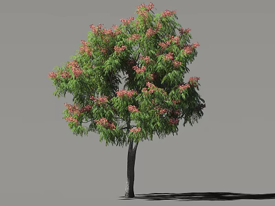 Arbor With Lush Green Foliage And Vibrant Pink Flowers Standing Tall 3d model