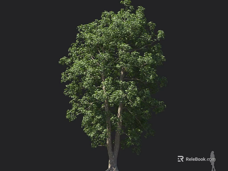 Tall Arbor With Lush Green Foliage Thick Trunk And Human Figure Against Dark Background 3d model 