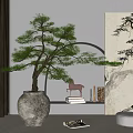 Elegant Indoor Bonsai Tree in White Ceramic Pot with Decorative Painting and Window Light