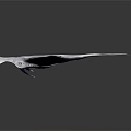 Elegant White Manta Ray Gliding Smoothly On Dark Background With Reflection