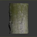 Plant Inspired Decorative Container With Natural Bark Texture And Green Purple Hues