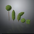 Green Plants With Small Red Fruits In Various Shapes And Different Heights On Gray Background