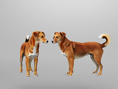 Two Brown And White Dogs Standing Facing Each Other On Gray Background 3d model