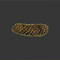 Pine Cone Containing Edible Pine Nuts Natural Healthy Organic Food Source