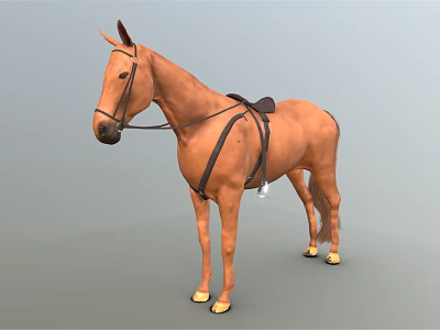 Brown Horse With Saddle And Bridle Standing In Neutral Background 3d model