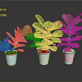 Lush Green Plants in White Pots Arranged on Black Background