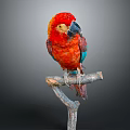 Red Parrot With Vibrant Red And Blue Feathers Perched On Wooden Branch
