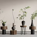 Modern Vases with Bamboo Blossom Branches and Slender Plants on Wooden Metal Stands
