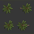 3D Rendered Palm Trees With Pink Trunks And Green Leaves On Gray Background