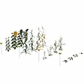 Small Garden Ornamental Design Featuring Sunflowers Corn Rapeseed Beets and Standing Person