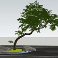 Plant landscape tree pond stone head oblique floating modeling tree 3d model