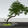 Plant landscape tree pond stone head oblique floating modeling tree 3d model