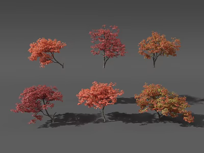 Colorful Autumn Trees with Red and Orange Leaves in Various Shapes 3d model