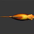 Orange Red Goldfish Featuring Shiny Scales Yellow Fins And Tail On Dark Background