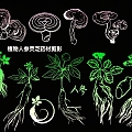 Plant Ginseng Ganoderma lucidum Herb Silhouette 3d model