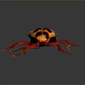 Shiny Red and Black Cockroach Crawling on Black Reflective Surface 3d model