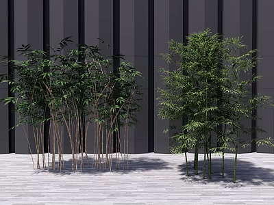 Lush Bamboo Plants In Modern Outdoor Setting 3d model