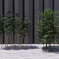 Modern Bamboo Landscape Tree 3d model