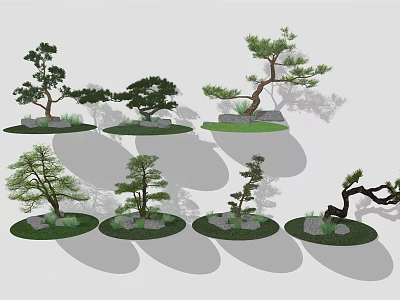 Different Shaped Bonsai Trees With Rocks And Grass For Garden Landscaping 3d model