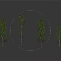 Scene Components With Four Different Size Trees For Landscape Design Projects 3d model