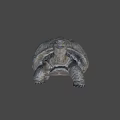Giant Turtle Game Movie Character With Realistic Rough Shell And Textured Skin