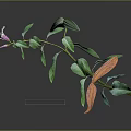 Green Plant With Pink Flower Green And Orange Leaves On Gray Background