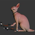 Pink Sphynx Cat With Blue Eyes Sitting On Black Red Drone With Propellers