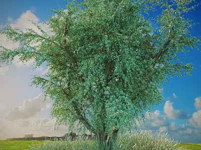 Lush Green Leafy Shrub Standing In Grass Field Under Blue Sky With White Clouds 3d model