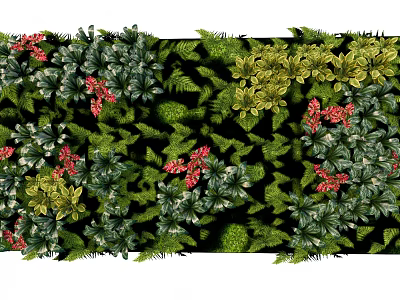 Living Wall Design with Green Foliage Red Blooms and Lush Plants 3d model