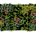 Living Wall Design with Green Foliage Red Blooms and Lush Plants