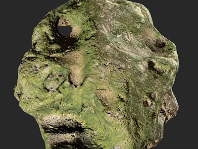 Scenic Rural Landscape With Lush Green Vegetation And Natural Rocky Terrain Texture 3d model