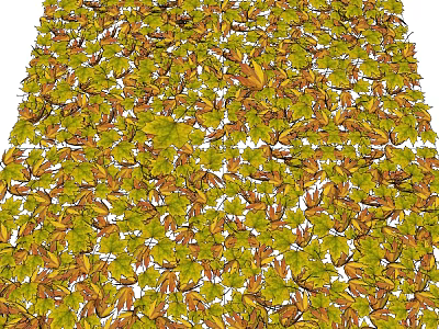 Modern deciduous leaves 3d model Modern deciduous leaves 3d model