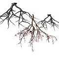 Three Hanging Decorative Branches With Pink Flowers On One Branch 3d model