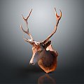 Modern animal wall decoration deer head antler elk elk horn 3d model