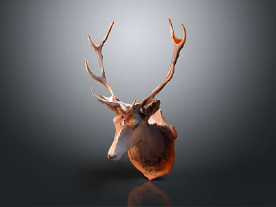 Brown Deer Head Animal Wall Decor with Large Antlers for Home Decoration 3d model Brown Deer Head Animal Wall Decor with Large Antlers for Home Decoration 3d model