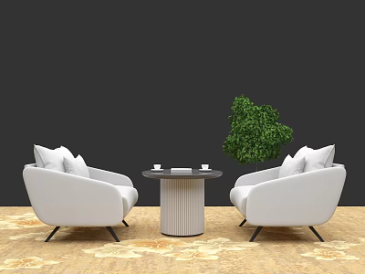 Stylish White Sofa And Coffee Table Set With Round Coffee Table Green Plant And Patterned Floor 3d model